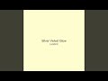 Silver Velvet Glow