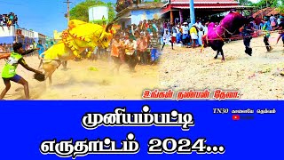 முனியம்பட்டி #எருதாட்டம் #2024...//#bull  #jallikattu #trending #eruthattam #காளை #viralvideo