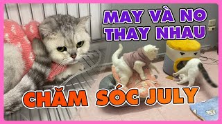 Công chúa July trở lại cùng đàn báo May và No | maly.gaugau