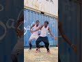 Stonebwoy ft Maphorisa Apotheke (Dance Challenge) let’s jump on this challenge  #reels #shorts