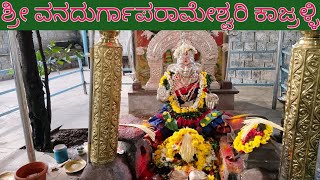 ಶ್ರೀ ವನದುರ್ಗಾಪರಾಮೇಶ್ವರಿ ಕಾಜ್ರಳ್ಳಿ vanadurgaparameshwari#kajaralli