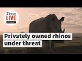 Privately owned rhinos are under threat