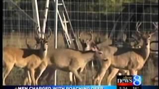 4 W. MI residents charged with poaching