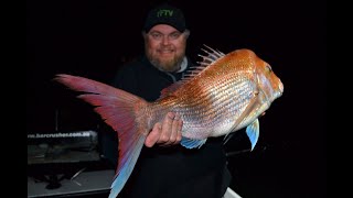 MEGA SNAPPER ON DELICIOUS  BAIT - YouFishTV