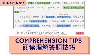 PSLE Chinese Techniques to Answer Comprehension Questions 阅读理解答题技巧 (TTA PSLE Chinese Ep 5)