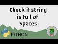 Python - Check Whether the String is only of Spaces