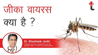 जीका वायरस क्या है || Zika Virus in India