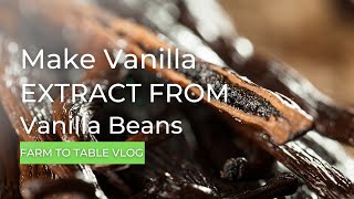 Make Vanilla Extract From Vanilla Beans