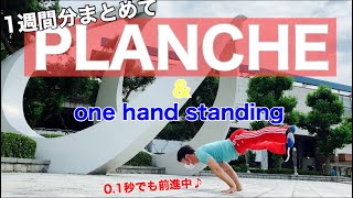 planche weekですね！プランシェもっと止まりたい！今週の成長記録