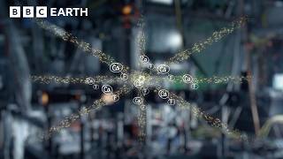 How Do We Find Absolute Zero? | BBC Earth Science