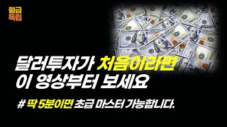 달러투자전에 반드시 알아야 할 3가지 [슬기로운 달러투자 4탄] (환테크, 환차익, 재테크, 부자, 박성현, 홍춘욱)