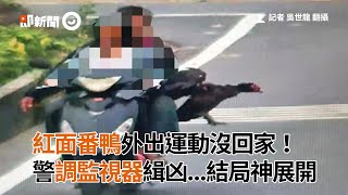 紅面番鴨外出運動沒回家 警調監視器緝凶結局神展開｜高雄｜走失｜協尋｜看新聞