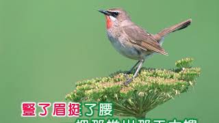 白蒂娜 ~ 十七八的姑娘