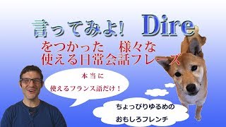 フランス語日常会話講座 dire を使ったフレーズ