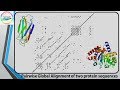 Comparing two Sequences using Dot Plot