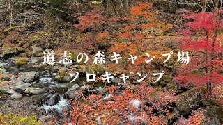 【ソロキャンプ】晩秋の道志の森キャンプ場キャンプ / Autumn Camp in Doshi