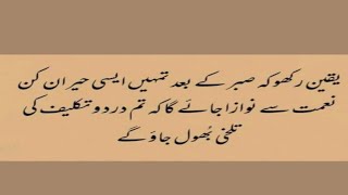 new collection amazing quotes Urdu status #happy status channel