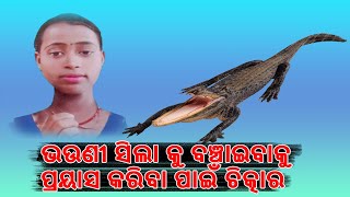 ଭଉଣୀ ଆଗରେ ଭଉଣୀକୁ ଝାମ୍ପି ନେଲା କୁମ୍ଭୀର !