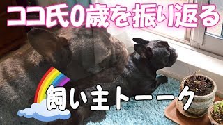 飼い主トーーク　愛犬1歳の誕生日までに変わったこと・感じたこと