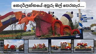 නෙදර්ලන්තයේ හරි අපූරු මල් පෙරහැර (2024) | ලෝකයේ ලස්සන බලමු​ #netherlands #tulips #keukenhof