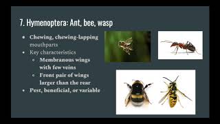 SKILLS - Common Insect Identification