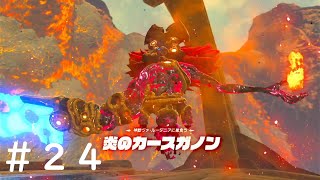 【#ゼルダの伝説BotW】ユン坊の成長、ダルケルの想い＃２４