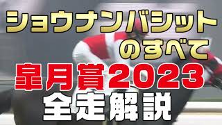 【ショウナンバシットのすべて】（皐月賞2023）新馬戦から前走までのレースぶりを振り返ってみました