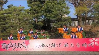 【公式】京都チーム「櫻嵐洛」2018神響　二条城会場