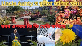 Uncle Aunty ৰ ঘৰৰ ওপৰত থকা  Garden🏡 ।।  লগতে কি কি  আৰু আছে চাও বলক।।