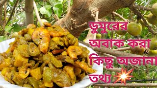 Dumur recipe in bengali | ডুমুরের ডালনা  | ডুমুর রান্নার রেসিপি | Dumurer recipe  ডুমুর চিংড়ি রেসিপি