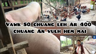 Vawk 50 chuang leh Ar 400 chuang vulhtu .Chhungkua ang chuan an aia tam  V \u0026 R vulh hi an tam lo ang