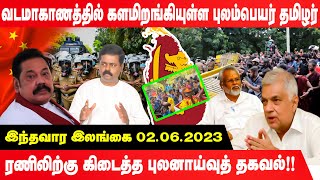 களமிறங்கியுள்ள புலம்பெயர் தமிழர் ரணிலுக்கு கிடைத்த புலனாய்வு தகவல்!! | Mahinda | Weekly