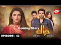 Chaal Episode 42 Review | Ali Ansari, Zubab Rana | Coming Story | Analysis & Review by What & How