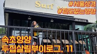 속초양양두집살림🏝일상브이로그|서울상경당일치기🦫|비만주륵주륵내리는양양|카버보드타기🐥양양맛집|장칼국수🌶속초맛집|원조속초순대국🐷