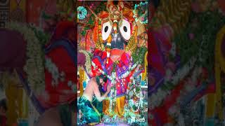 Mate chandana panire gadhei dia lo mu kalia pakhaku jauchi // 🙏 Jay Jagannath 🙏 //New status video//