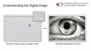 Python for Image Processing & Analysis Webinar