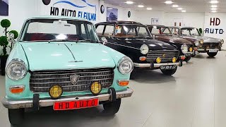 Peugeot 404 algerian معرض الجزائر للسيارات القديمة