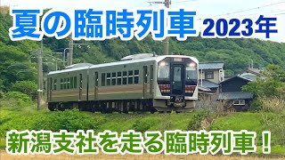 【夏の臨時列車】新潟エリアを走る臨時列車を解説！！