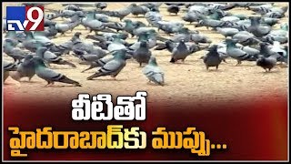 హైదరాబాద్ వాసులకు నిఫాను మించిన ముప్పుందా? - TV9