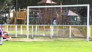 29.5.2011 - SK Vojkovice B - PTZ Nelahozeves B 1:4 [HQ]