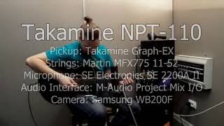 Takamine NPT-110 Review