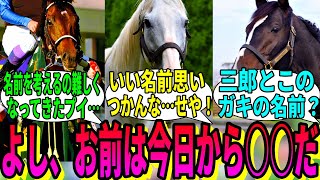 【競馬の反応集】「え？　産駒の名前俺がつけるの？」に対する視聴者の反応集