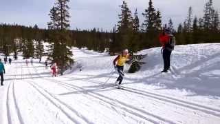 Aurora Ulsaker Bjørn, Natrudstilen klassisk fellesstart (SC8), 05.04.2014