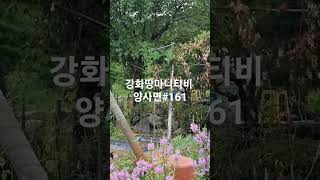 강화 현대부동산 032-934-8955 버스다니는 도로변에 붙은땅 대지345평포함 961평 토지모양 참이쁜곳 ~ #전원주택 #강화귀농 여러 활용도 가치가 높은토지 #펜션 #단독주택