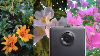 YU Yuphoria Camera Review!