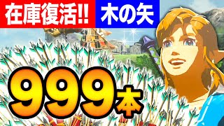 【売り切れに悩むあなたへ】木の矢を最速で999本集める方法！ルピーがなくても大丈夫♪【BotW｜ゼルダの伝説 ブレスオブザワイルド】