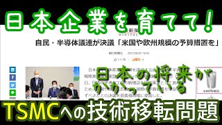 日本企業を育てるという視点がない？半導体議連！～TSMC誘致問題★★柏原竜一さんの最新動画も必見だよ！030609