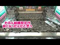 【バカ入れ】スーパーマリオに大量メダル2000枚を連射アタックした結果