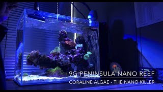 9G Peninsula Nano Reef | Coraline Algae the Nano Killer