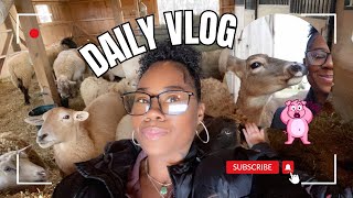 VLOGMAS | VISITING POPLAR SPRING ANIMAL SANCTUARY